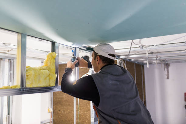 Best Local Insulation Services  in Unionville, MO