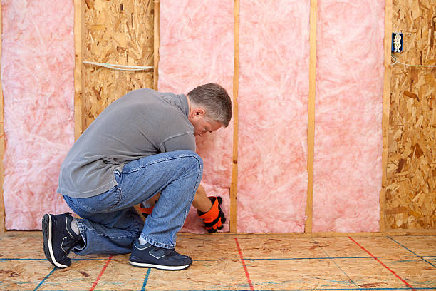 Best Attic Insulation Installation  in Unionville, MO